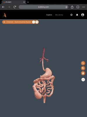 atlas_mobile_digestion
