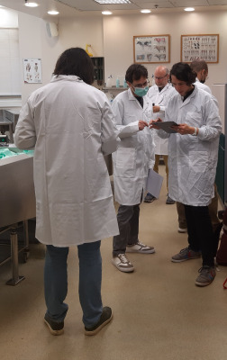 dissections